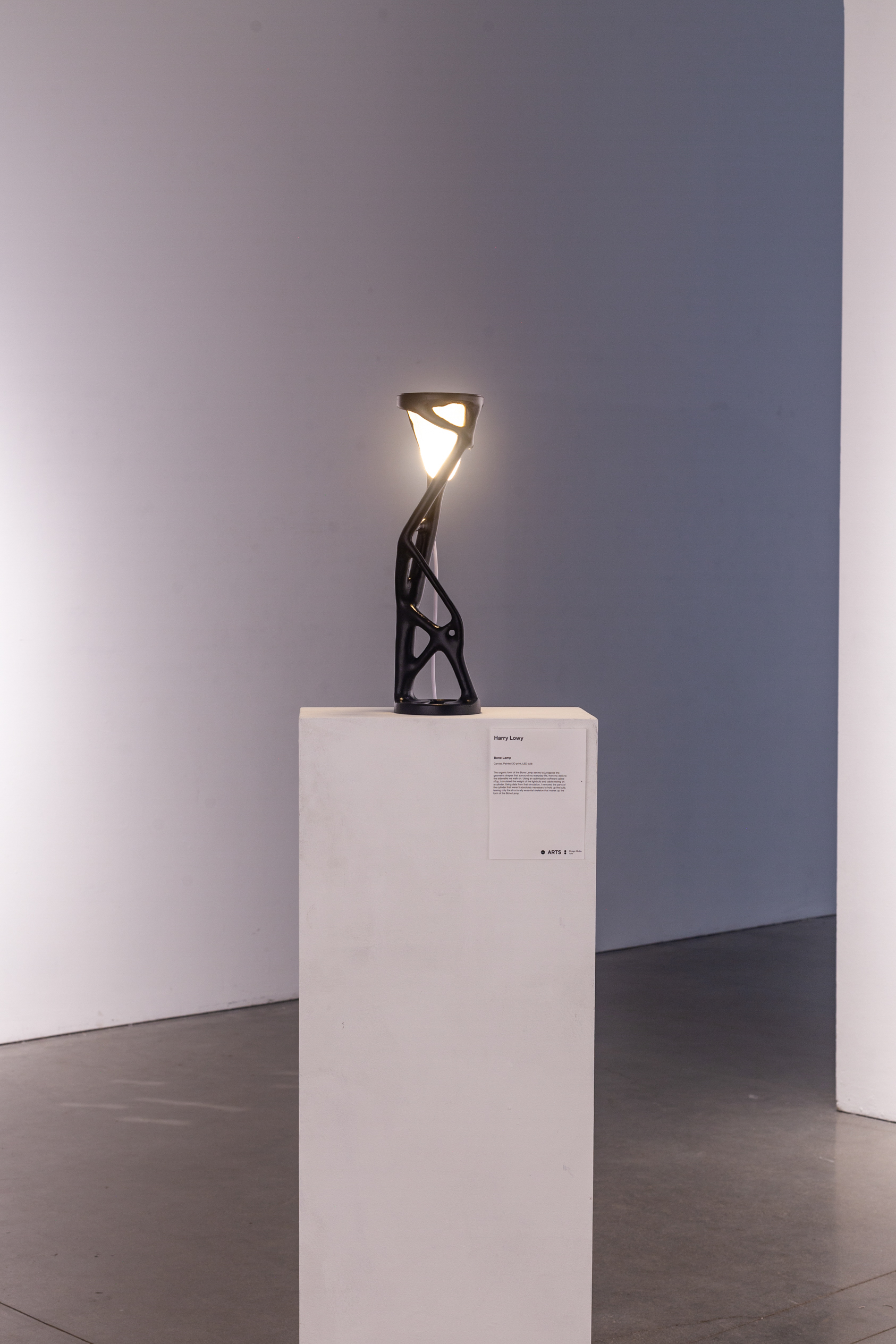 A 3D printed sculptural object with a light on the top of it. The form is very organic.